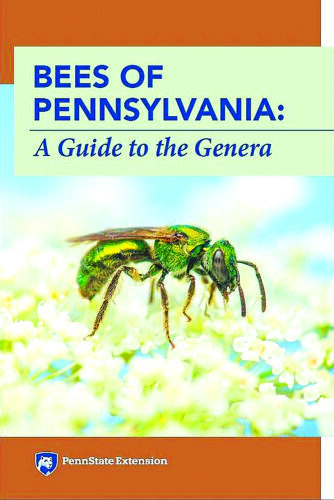 PSU releases new guide on identifying bees in Pennsylvania